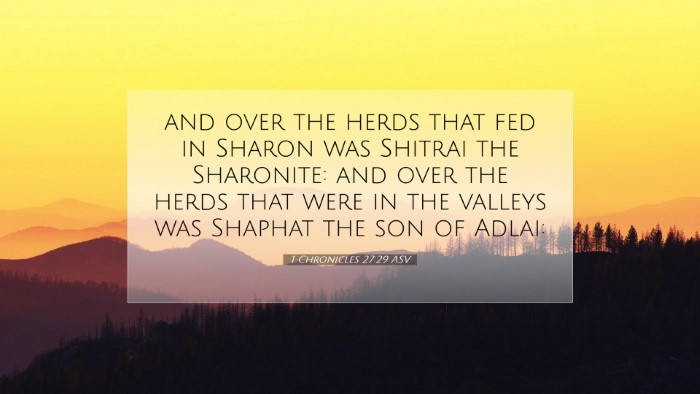 Picture 07 - 1 Chronicles 27:29 ASV Desktop Wallpaper - and over the herds that fed in Sharon was Shitrai - Desktop Bible Verse Wallpaper