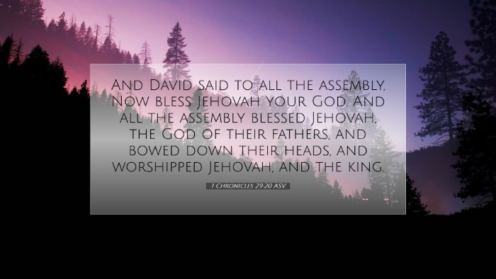 Picture 07 - 1 Chronicles 29:20 ASV Desktop Wallpaper - And David said to all the assembly, Now bless - Desktop Bible Verse Wallpaper