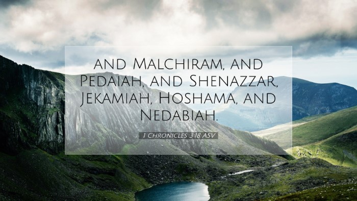 Picture 07 - 1 Chronicles 3:18 ASV Desktop Wallpaper - and Malchiram, and Pedaiah, and Shenazzar, - Desktop Bible Verse Wallpaper