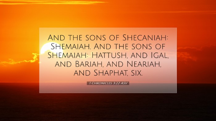 Picture 07 - 1 Chronicles 3:22 ASV Desktop Wallpaper - And the sons of Shecaniah: Shemaiah. And the sons - Desktop Bible Verse Wallpaper