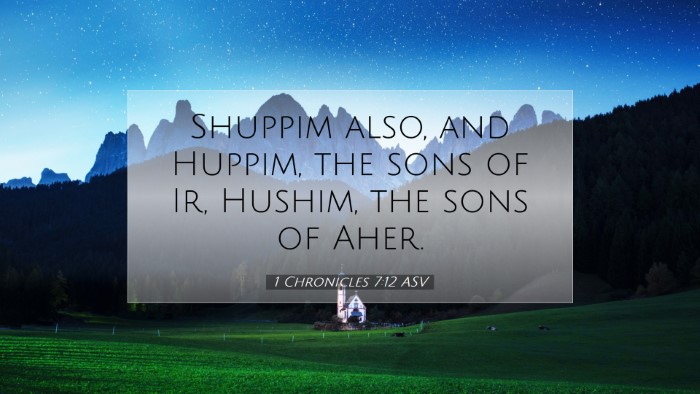 Picture 07 - 1 Chronicles 7:12 ASV Desktop Wallpaper - Shuppim also, and Huppim, the sons of Ir, Hushim, - Desktop Bible Verse Wallpaper