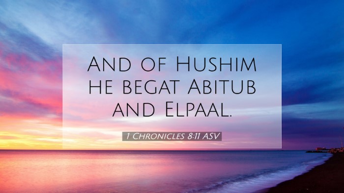 Picture 07 - 1 Chronicles 8:11 ASV Desktop Wallpaper - And of Hushim he begat Abitub and - Desktop Bible Verse Wallpaper