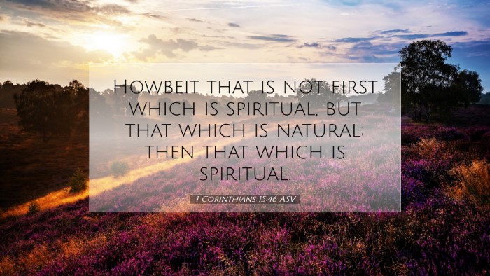Picture 07 - 1 Corinthians 15:46 ASV Desktop Wallpaper - Howbeit that is not first which is spiritual, but - Desktop Bible Verse Wallpaper