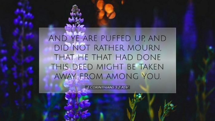 Picture 07 - 1 Corinthians 5:2 ASV Desktop Wallpaper - And ye are puffed up, and did not rather mourn, - Desktop Bible Verse Wallpaper