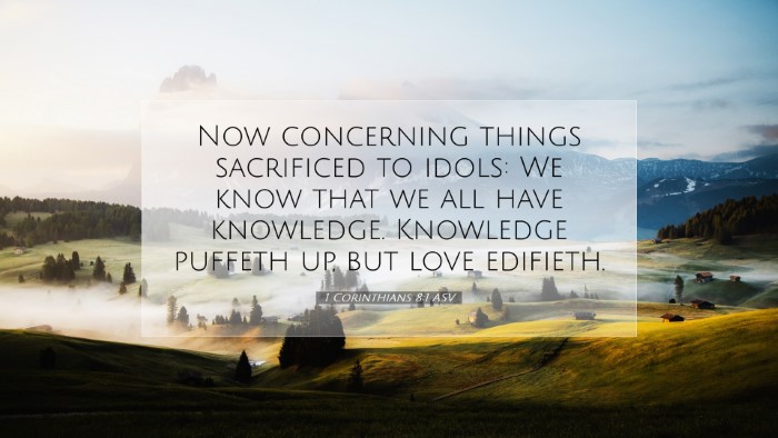 Picture 07 - 1 Corinthians 8:1 ASV Desktop Wallpaper - Now concerning things sacrificed to idols: We - Desktop Bible Verse Wallpaper