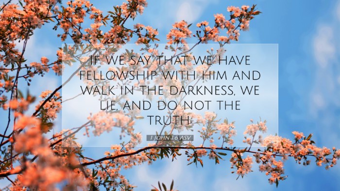 Picture 07 - 1 John 1:6 ASV Desktop Wallpaper - If we say that we have fellowship with him and - Desktop Bible Verse Wallpaper