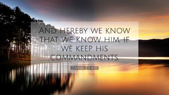 Picture 07 - 1 John 2:3 ASV Desktop Wallpaper - And hereby we know that we know him, if we keep - Desktop Bible Verse Wallpaper