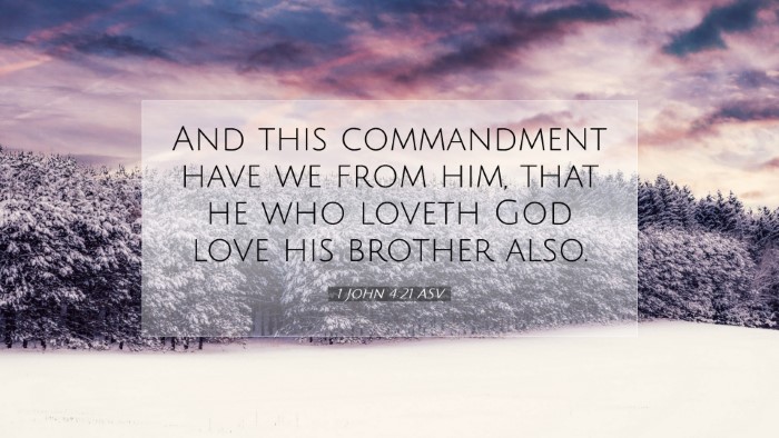 Picture 07 - 1 John 4:21 ASV Desktop Wallpaper - And this commandment have we from him, that he - Desktop Bible Verse Wallpaper