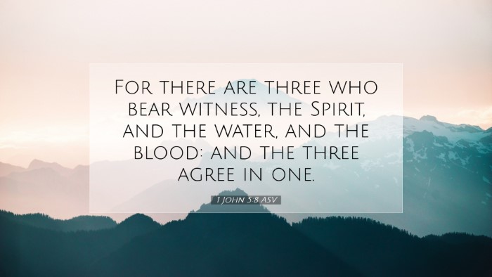 Picture 07 - 1 John 5:8 ASV Desktop Wallpaper - For there are three who bear witness, the Spirit, - Desktop Bible Verse Wallpaper