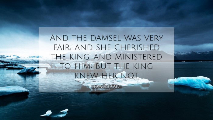 Picture 07 - 1 Kings 1:4 ASV Desktop Wallpaper - And the damsel was very fair; and she cherished - Desktop Bible Verse Wallpaper