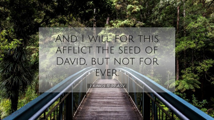 Picture 07 - 1 Kings 11:39 ASV Desktop Wallpaper - And I will for this afflict the seed of David, - Desktop Bible Verse Wallpaper