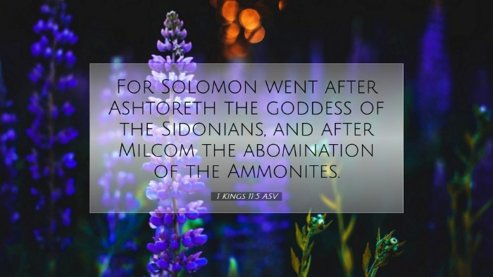 Picture 07 - 1 Kings 11:5 ASV Desktop Wallpaper - For Solomon went after Ashtoreth the goddess of - Desktop Bible Verse Wallpaper