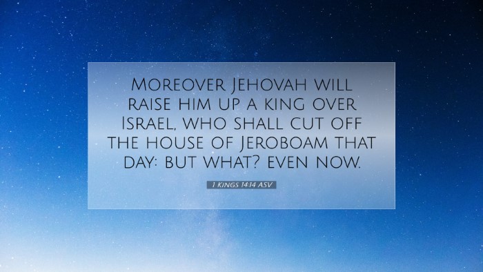 Picture 07 - 1 Kings 14:14 ASV Desktop Wallpaper - Moreover Jehovah will raise him up a king over - Desktop Bible Verse Wallpaper