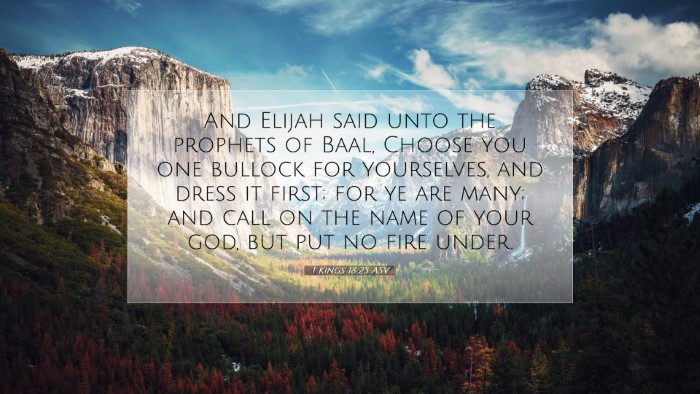Picture 07 - 1 Kings 18:25 ASV Desktop Wallpaper - And Elijah said unto the prophets of Baal, Choose - Desktop Bible Verse Wallpaper
