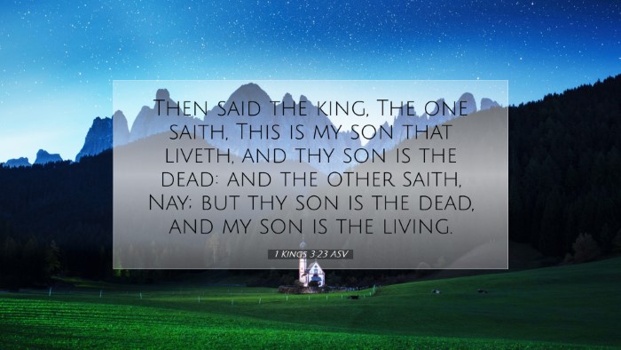 Picture 07 - 1 Kings 3:23 ASV Desktop Wallpaper - Then said the king, The one saith, This is my son - Desktop Bible Verse Wallpaper