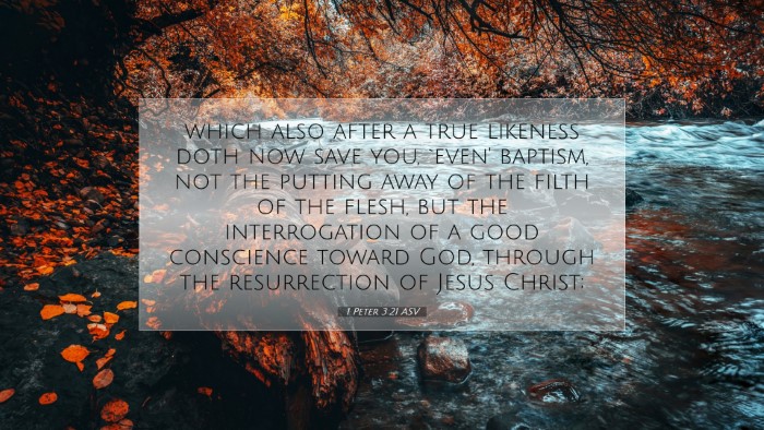 Picture 07 - 1 Peter 3:21 ASV Desktop Wallpaper - which also after a true likeness doth now save - Desktop Bible Verse Wallpaper