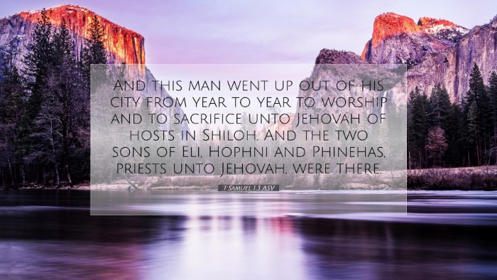 Picture 07 - 1 Samuel 1:3 ASV Desktop Wallpaper - And this man went up out of his city from year to - Desktop Bible Verse Wallpaper