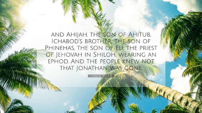 Picture 07 - 1 Samuel 14:3 ASV Desktop Wallpaper - and Ahijah, the son of Ahitub, Ichabod's brother, - Desktop Bible Verse Wallpaper