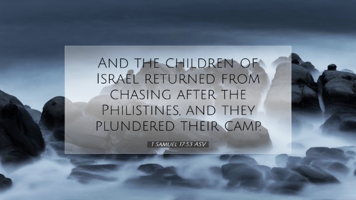 Picture 07 - 1 Samuel 17:53 ASV Desktop Wallpaper - And the children of Israel returned from chasing - Desktop Bible Verse Wallpaper