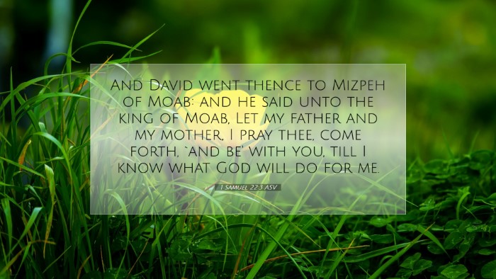 Picture 07 - 1 Samuel 22:3 ASV Desktop Wallpaper - And David went thence to Mizpeh of Moab: and he - Desktop Bible Verse Wallpaper