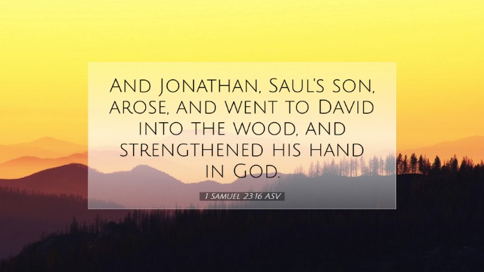 Picture 07 - 1 Samuel 23:16 ASV Desktop Wallpaper - And Jonathan, Saul's son, arose, and went to - Desktop Bible Verse Wallpaper