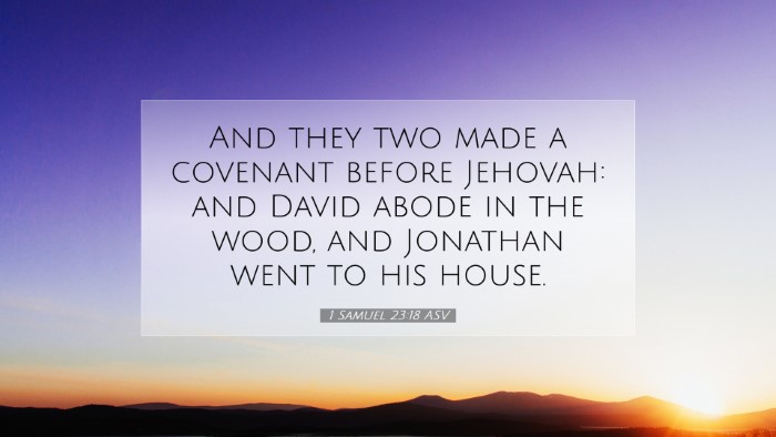 Picture 07 - 1 Samuel 23:18 ASV Desktop Wallpaper - And they two made a covenant before Jehovah: and - Desktop Bible Verse Wallpaper