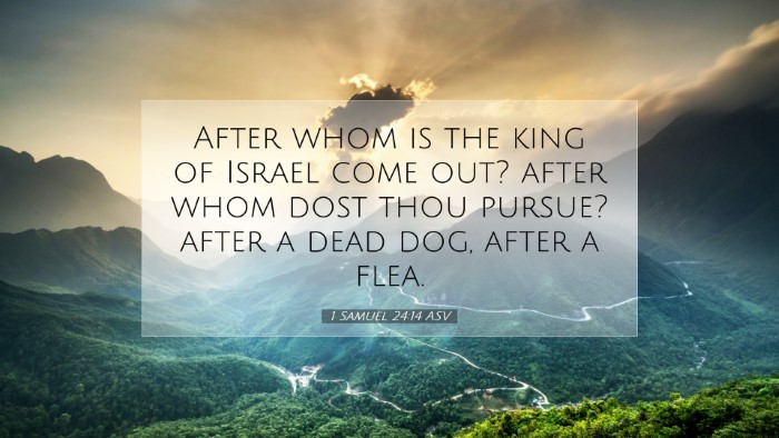 Picture 07 - 1 Samuel 24:14 ASV Desktop Wallpaper - After whom is the king of Israel come out? after - Desktop Bible Verse Wallpaper