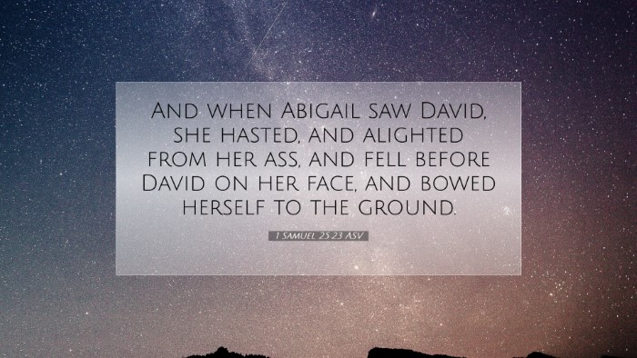 Picture 07 - 1 Samuel 25:23 ASV Desktop Wallpaper - And when Abigail saw David, she hasted, and - Desktop Bible Verse Wallpaper