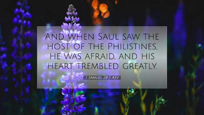 Picture 07 - 1 Samuel 28:5 ASV Desktop Wallpaper - And when Saul saw the host of the Philistines, he - Desktop Bible Verse Wallpaper