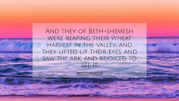 Picture 07 - 1 Samuel 6:13 ASV Desktop Wallpaper - And they of Beth-shemesh were reaping their wheat - Desktop Bible Verse Wallpaper
