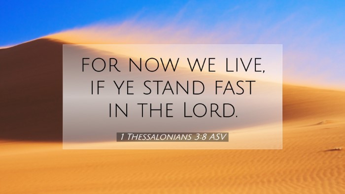 Picture 07 - 1 Thessalonians 3:8 ASV Desktop Wallpaper - for now we live, if ye stand fast in the - Desktop Bible Verse Wallpaper