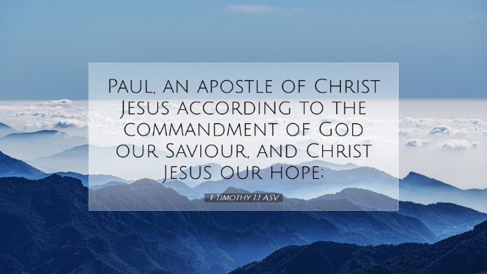 Picture 07 - 1 Timothy 1:1 ASV Desktop Wallpaper - Paul, an apostle of Christ Jesus according to the - Desktop Bible Verse Wallpaper