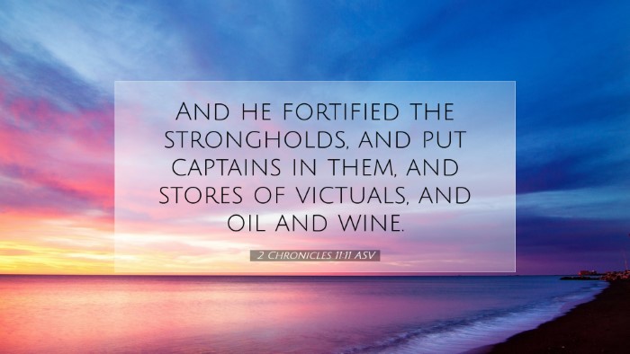 Picture 07 - 2 Chronicles 11:11 ASV Desktop Wallpaper - And he fortified the strongholds, and put - Desktop Bible Verse Wallpaper