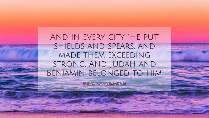 Picture 07 - 2 Chronicles 11:12 ASV Desktop Wallpaper - And in every city `he put' shields and spears, - Desktop Bible Verse Wallpaper