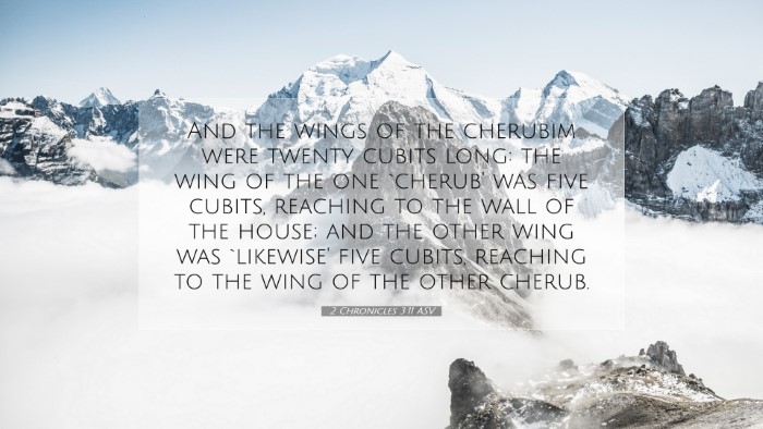 Picture 07 - 2 Chronicles 3:11 ASV Desktop Wallpaper - And the wings of the cherubim were twenty cubits - Desktop Bible Verse Wallpaper
