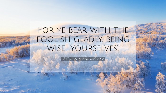 Picture 07 - 2 Corinthians 11:19 ASV Desktop Wallpaper - For ye bear with the foolish gladly, being wise - Desktop Bible Verse Wallpaper