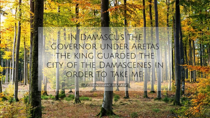 Picture 07 - 2 Corinthians 11:32 ASV Desktop Wallpaper - In Damascus the governor under Aretas the king - Desktop Bible Verse Wallpaper