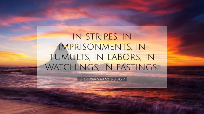 Picture 07 - 2 Corinthians 6:5 ASV Desktop Wallpaper - in stripes, in imprisonments, in tumults, in - Desktop Bible Verse Wallpaper