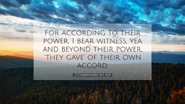 Picture 07 - 2 Corinthians 8:3 ASV Desktop Wallpaper - For according to their power, I bear witness, yea - Desktop Bible Verse Wallpaper