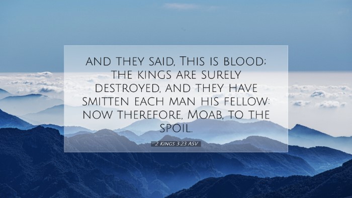 Picture 07 - 2 Kings 3:23 ASV Desktop Wallpaper - and they said, This is blood; the kings are - Desktop Bible Verse Wallpaper