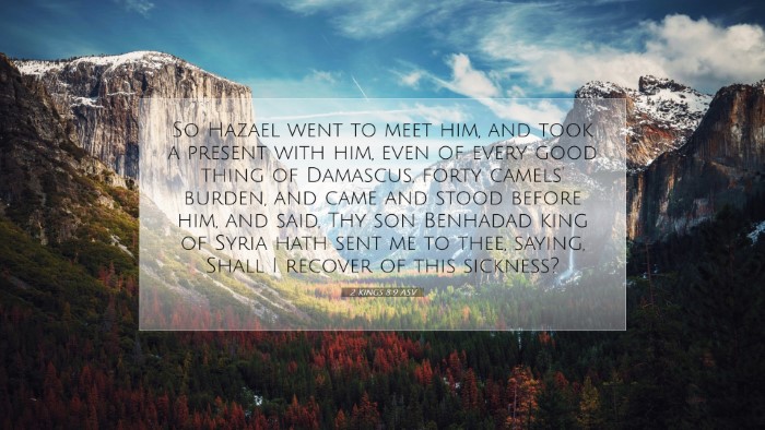 Picture 07 - 2 Kings 8:9 ASV Desktop Wallpaper - So Hazael went to meet him, and took a present - Desktop Bible Verse Wallpaper