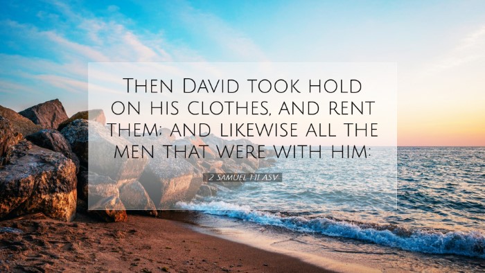 Picture 07 - 2 Samuel 1:11 ASV Desktop Wallpaper - Then David took hold on his clothes, and rent - Desktop Bible Verse Wallpaper