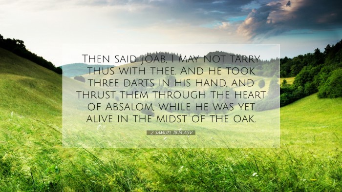 Picture 07 - 2 Samuel 18:14 ASV Desktop Wallpaper - Then said Joab, I may not tarry thus with thee. - Desktop Bible Verse Wallpaper