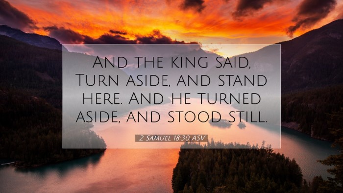 Picture 07 - 2 Samuel 18:30 ASV Desktop Wallpaper - And the king said, Turn aside, and stand here. - Desktop Bible Verse Wallpaper