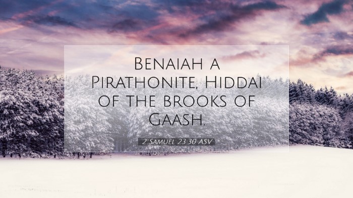 Picture 07 - 2 Samuel 23:30 ASV Desktop Wallpaper - Benaiah a Pirathonite, Hiddai of the brooks of - Desktop Bible Verse Wallpaper