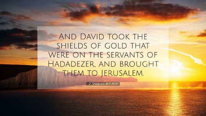 Picture 07 - 2 Samuel 8:7 ASV Desktop Wallpaper - And David took the shields of gold that were on - Desktop Bible Verse Wallpaper