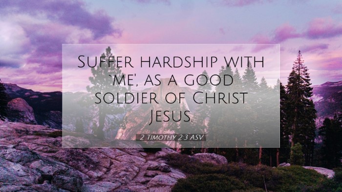 Picture 07 - 2 Timothy 2:3 ASV Desktop Wallpaper - Suffer hardship with `me', as a good soldier of - Desktop Bible Verse Wallpaper