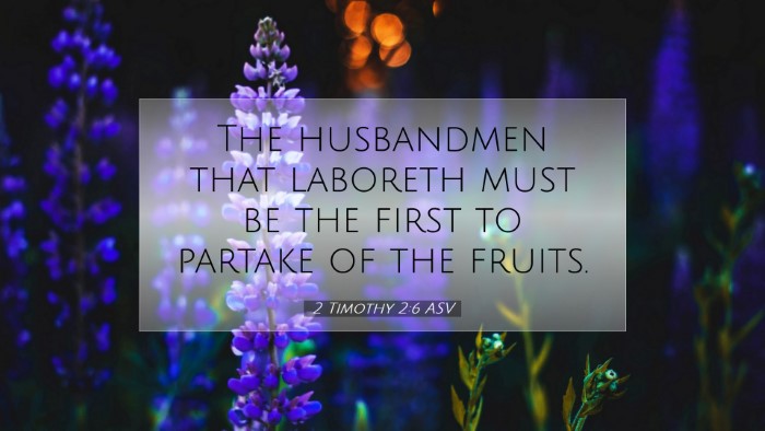 Picture 07 - 2 Timothy 2:6 ASV Desktop Wallpaper - The husbandmen that laboreth must be the first to - Desktop Bible Verse Wallpaper