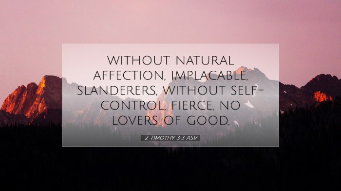Picture 07 - 2 Timothy 3:3 ASV Desktop Wallpaper - without natural affection, implacable, - Desktop Bible Verse Wallpaper