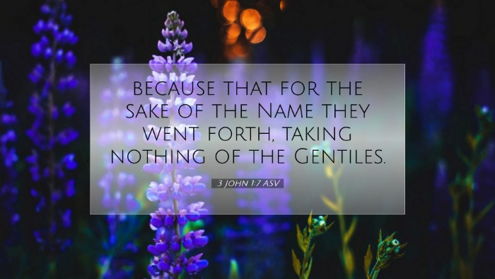 Picture 07 - 3 John 1:7 ASV Desktop Wallpaper - because that for the sake of the Name they went - Desktop Bible Verse Wallpaper